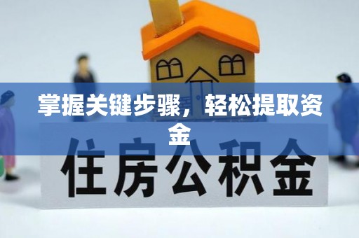 红古掌握关键步骤，轻松提取资金