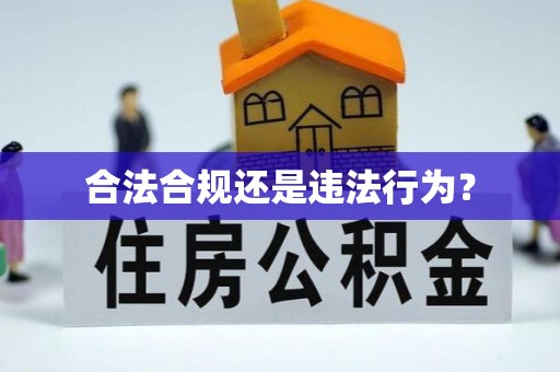 红古合法合规还是违法行为？